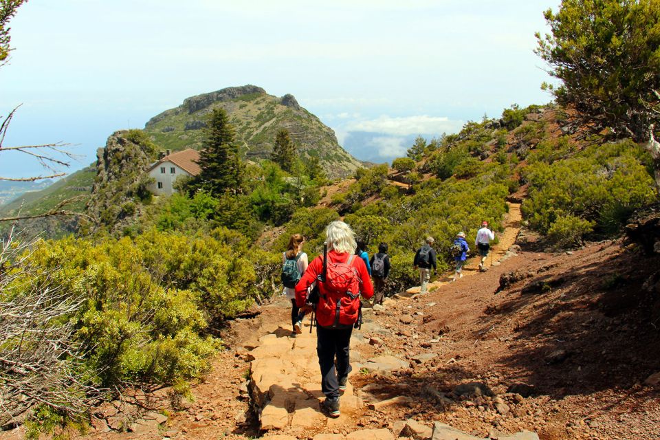 From Funchal: Madeira Peaks Mountain Walk - The Air-Conditioned Van Ride From Funchal (and Nearby Towns)