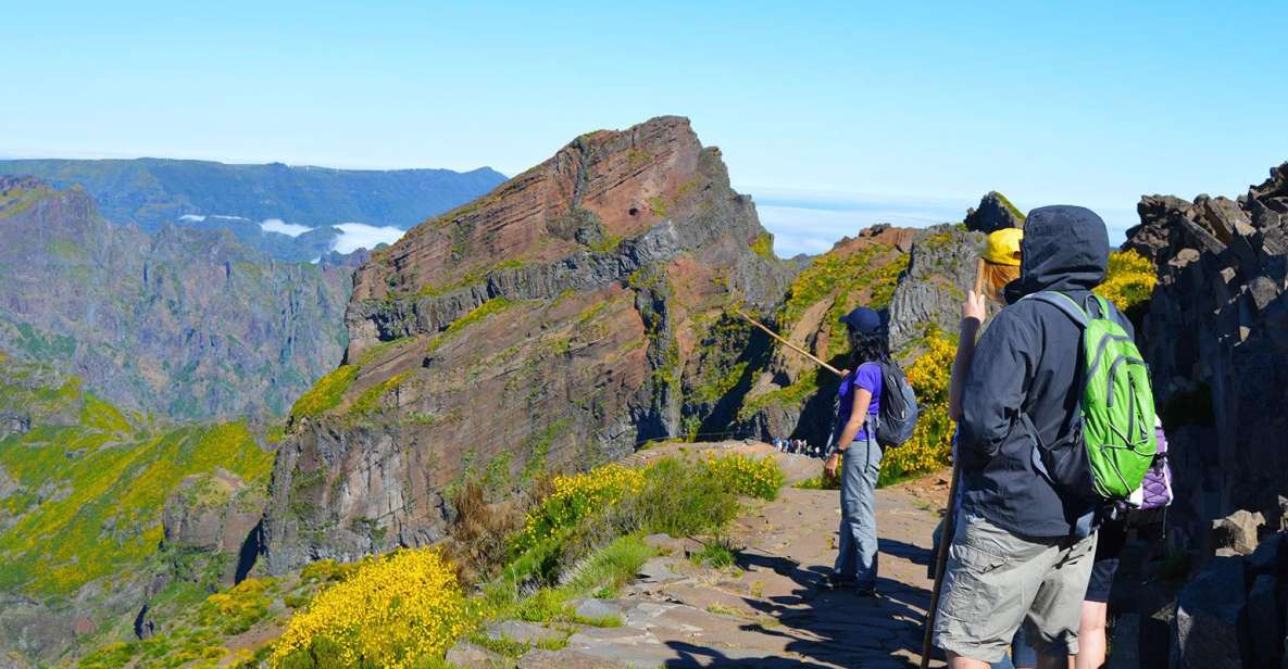 From Funchal: Madeira Peaks Mountain Walk - Plants, Fragile Flowers, and the Heather Forest Near the Peak