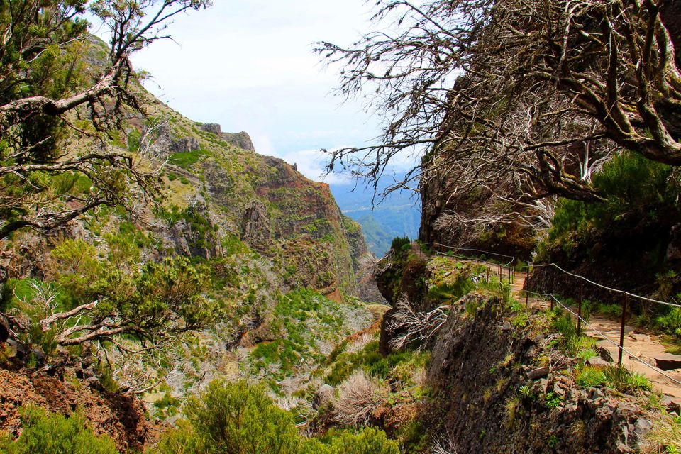 From Funchal: Madeira Peaks Mountain Walk - Getting Back Down: A Relaxing Finish After a Tough Walk