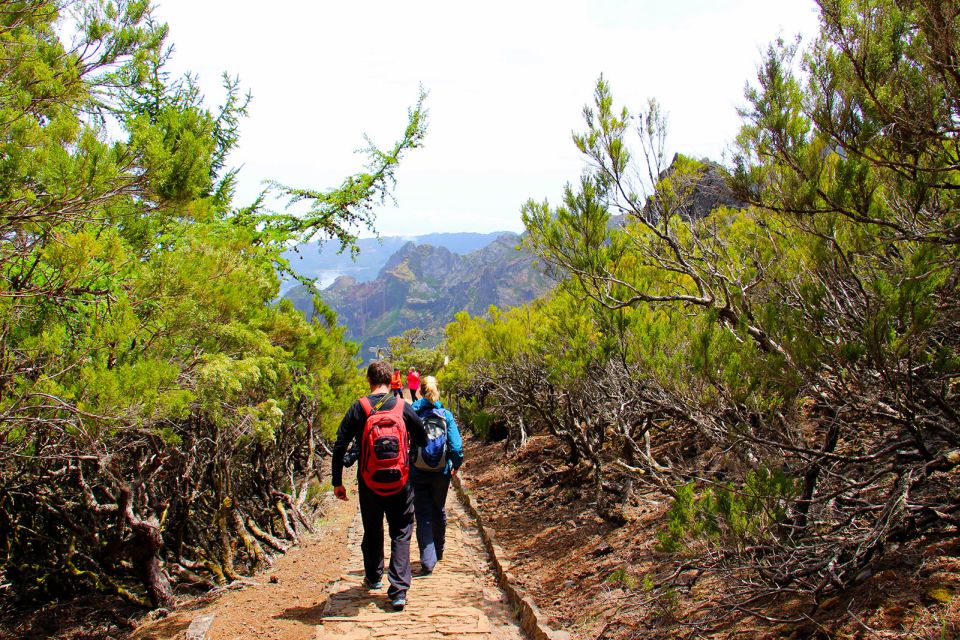 From Funchal: Madeira Peaks Mountain Walk - Price and Value: What $50 Buys You in Real Terms