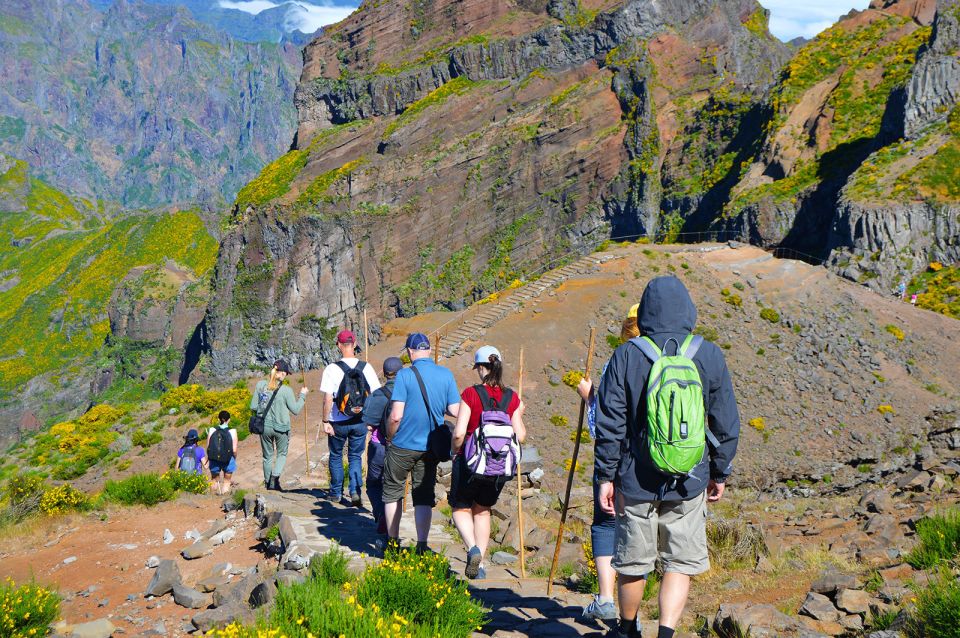 From Funchal: Madeira Peaks Mountain Walk - Who This Hike Is Best For (and Who Should Skip It)