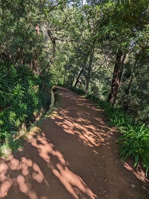 From Funchal: Pico Arieiro Sunrise with Optional Breakfast - Paradise Valley levada walk: short, scenic, and not a mountain workout