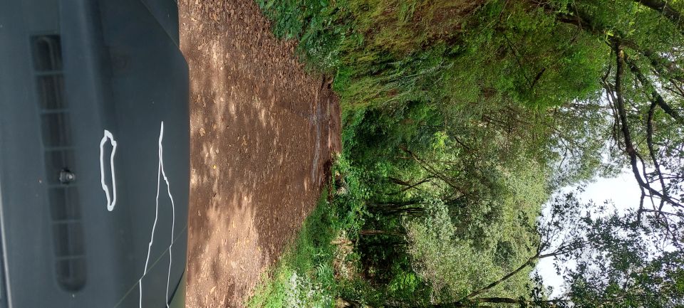 From Funchal: Pico Do Arieiro and Santana Full-Day 4x4 Tour - Pico do Arieiro at 1818 m: the view stop that anchors the whole day