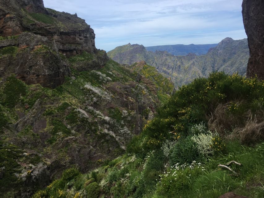 From Funchal: Santana and Pico do Areeiro East Island Tour - Ribeiro Frio and the Laurissilva forest: when the scenery is more than a view