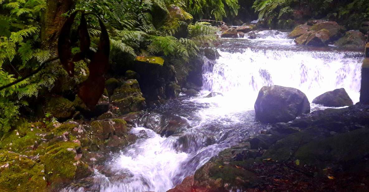 From Funchal: São Jorge Valleys Levada Walk - Key things to know before you go