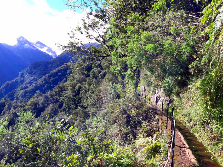 From Funchal: São Jorge Valleys Levada Walk - São Jorge Valleys and the levada rhythm you’ll feel fast