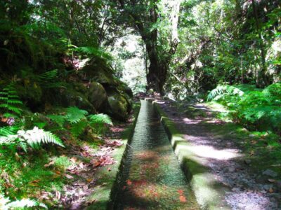 From Funchal: São Jorge Valleys Levada Walk - The waterfall sections: the highlight, and the part that needs planning