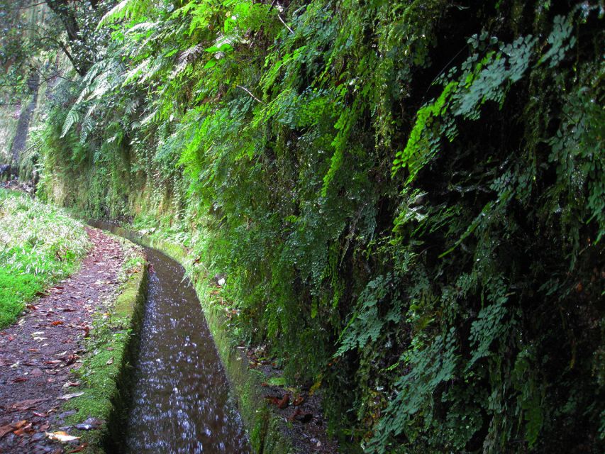 From Funchal: São Jorge Valleys Levada Walk - How the 8-hour loop actually feels (distance, pace, and breaks)