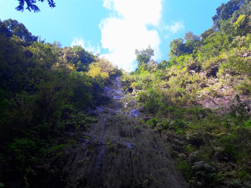From Funchal: São Jorge Valleys Levada Walk - Price and value: what you’re paying for at $50