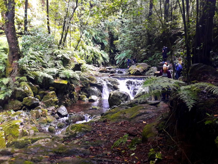From Funchal: São Jorge Valleys Levada Walk - Pickup and meeting points: keep it simple, keep an eye on your phone