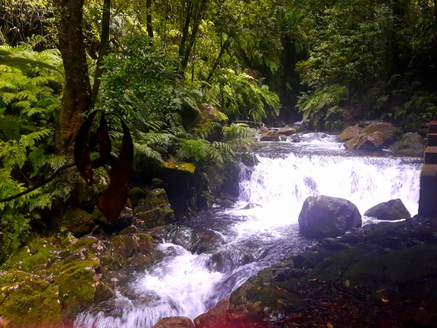 From Funchal: São Jorge Valleys Levada Walk - Who this São Jorge walk suits best