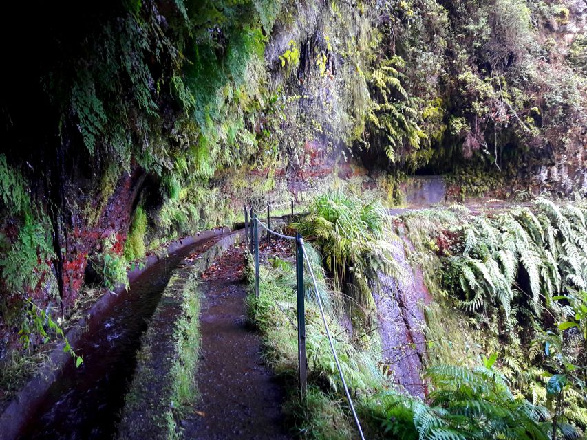 From Funchal: São Jorge Valleys Levada Walk - Should you book this tour?