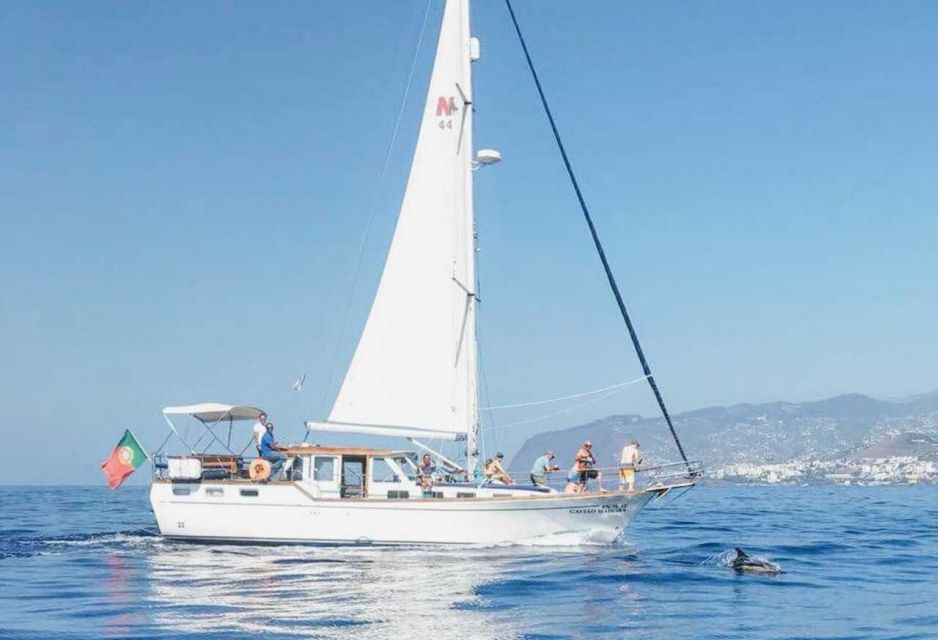 From Funchal: West Bays Sailing Tour with Lunch - Wildlife search up to 3 miles out: dolphins, whales, and sea turtles