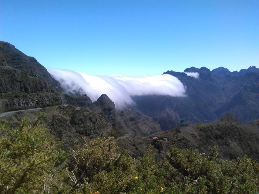 From Funchal: West Madeira and Laurel Forest Day Trip - Porto Moniz: Volcanic Pools, Real Swimming Time, and a Food Warning