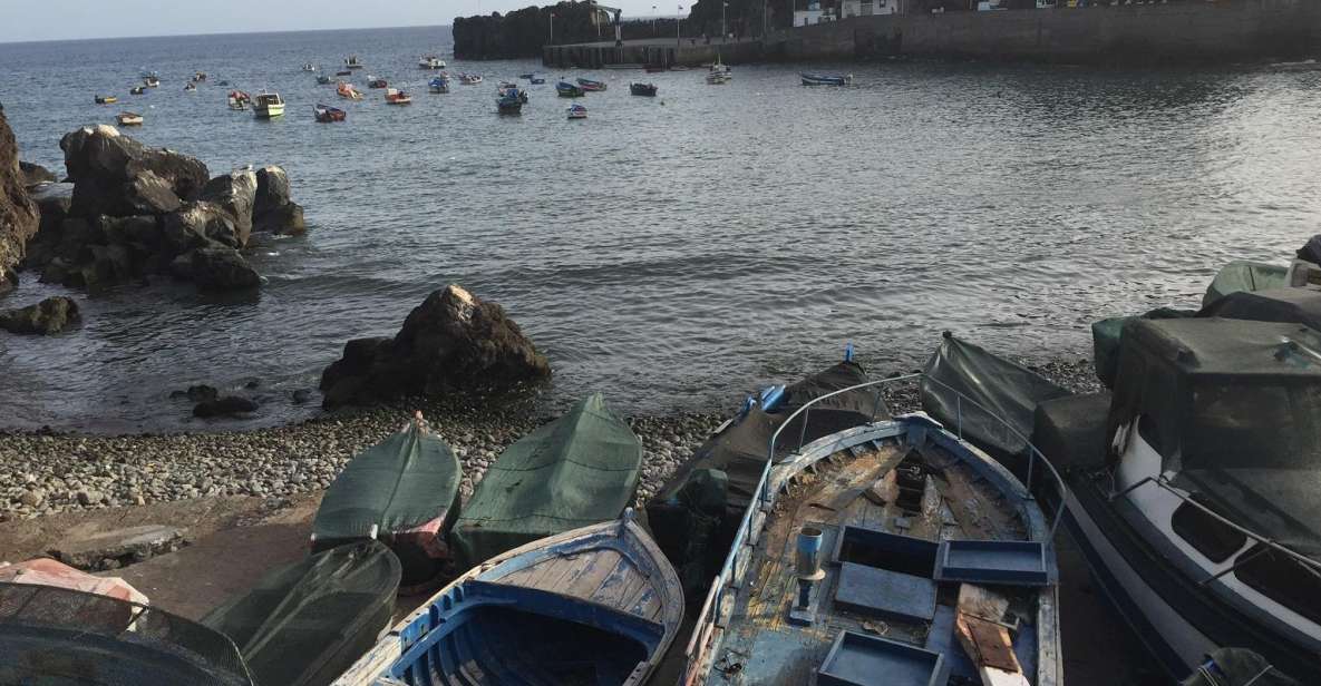 From Funchal: West Madeira and Laurel Forest Day Trip - Pickup and Timing: The Long Day Tradeoff