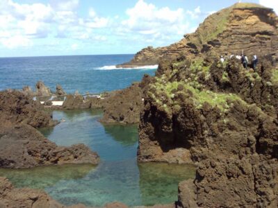 From Funchal: West Madeira Waterfalls and Fanal Forest Tour - Pickup, Timing, and the Reality of a Full 8 Hours