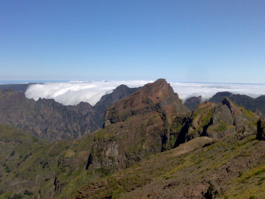 From Funchal: West Madeira Waterfalls and Fanal Forest Tour - Ribeira Brava and Ponta do Sol: Church Details and Sunny Valley Contrast