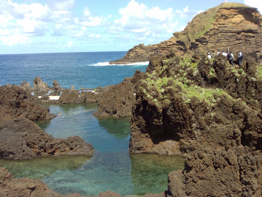 From Funchal: West Madeira Waterfalls and Fanal Forest Tour - Pickup, Timing, and the Reality of a Full 8 Hours