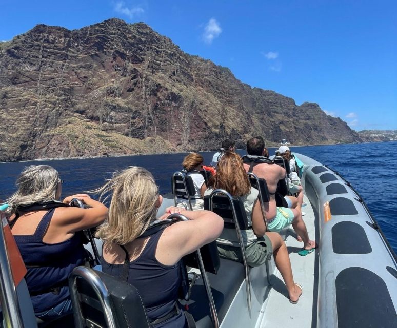 From Funchal: Whale and Dolphin Watching - Key things I’d spotlight before you go