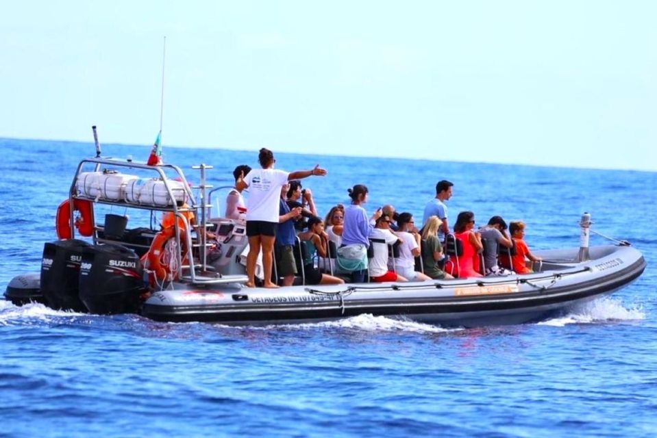 From Funchal: Whale and Dolphin Watching - What to bring for Madeira’s sea spray and speed