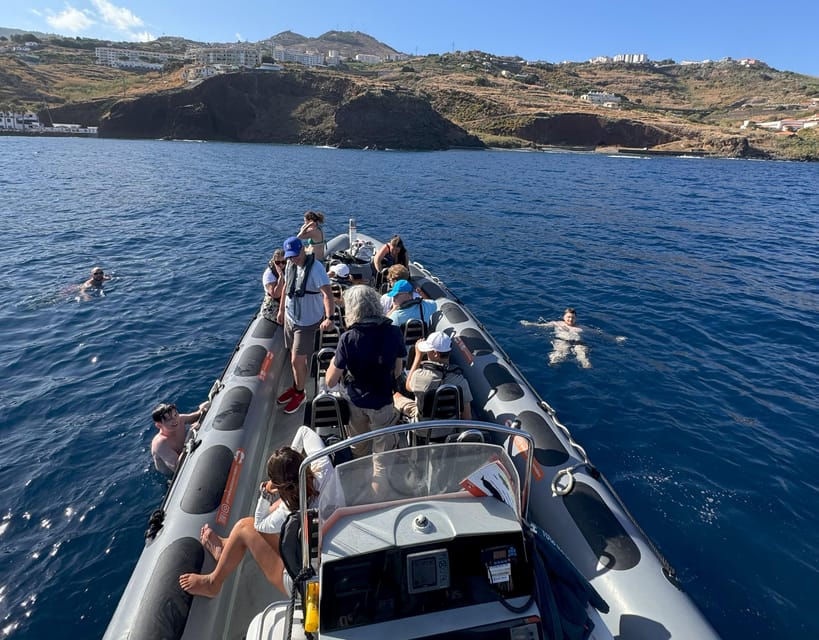 From Funchal: Whale and Dolphin Watching - The 2.5-hour itinerary: how the hunt and the watching actually play out