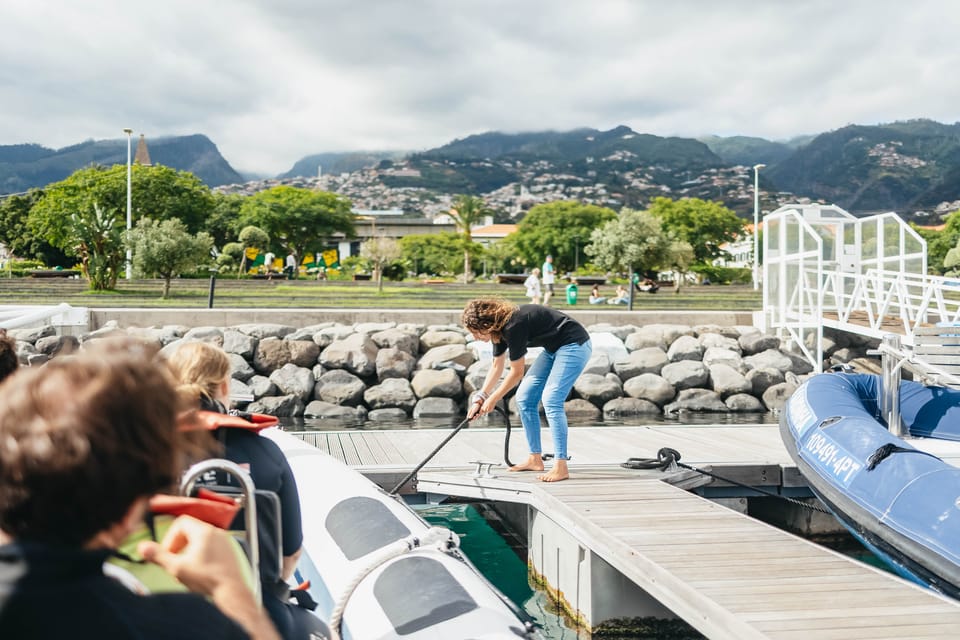 From Funchal: Whales and Dolphin Adventure Tour - Key Things I’d Pin to Your Map First