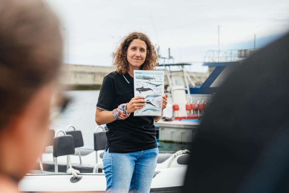 From Funchal: Whales and Dolphin Adventure Tour - Price and Value: Is $58 Worth It?
