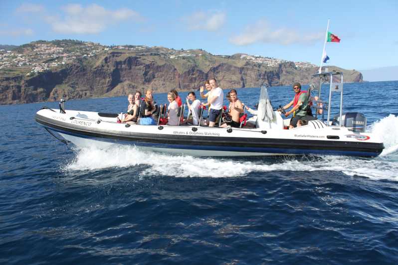 From Funchal: Whales and Dolphin Adventure Tour - Speedboat From Funchal: Why This Format Works