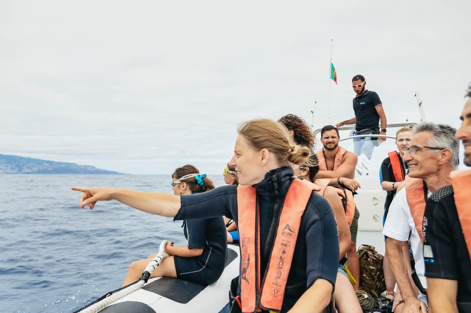 From Funchal: Whales and Dolphin Adventure Tour - Your Guide and Captain: What Makes the Trip Feel Personal
