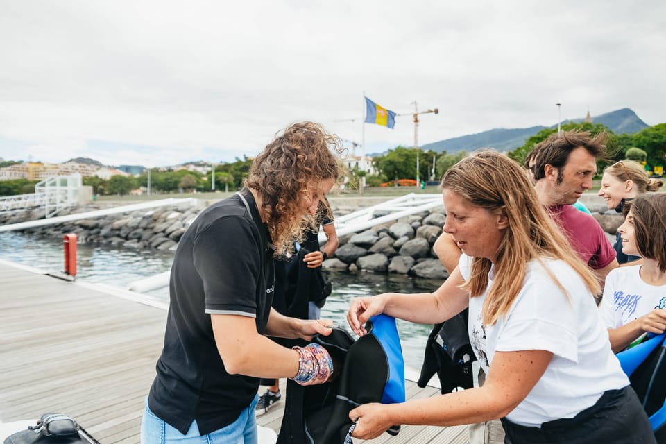 From Funchal: Whales and Dolphin Adventure Tour - Wildlife Viewing: What You Can Spot (and Why It’s Not Guaranteed)