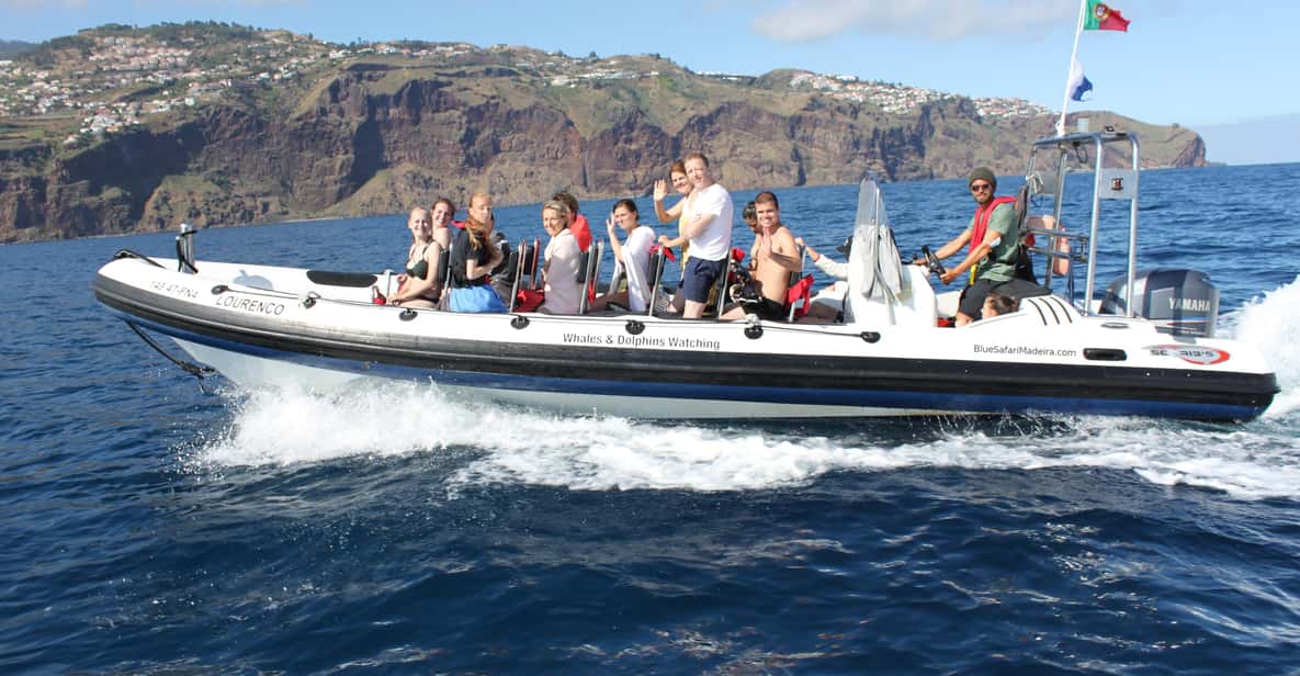 From Funchal: Whales and Dolphin Adventure Tour - What You’re Actually Doing for 2 Hours