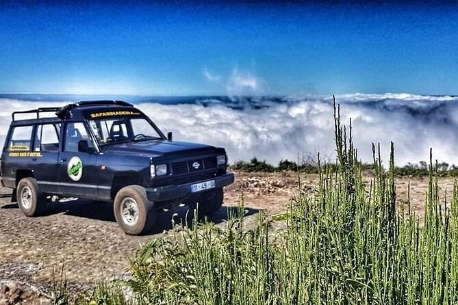 Full Day Jeep Safari East - Pico do Areeiro - Santana - Ponta de são Lourenço - Price and what you actually get for $74.98