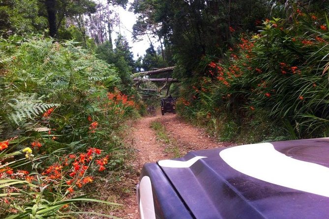 Full-Day Jeep Safari West: Fanal, Porto Moniz, Seixal, Cabo Girão - Getting To Go: Pickup, Timing, and Group Size
