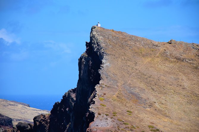 Full Day - Madeira East - Ribeiro Frio and Balcões: Aromatic Forests and a Trout Farm Stop