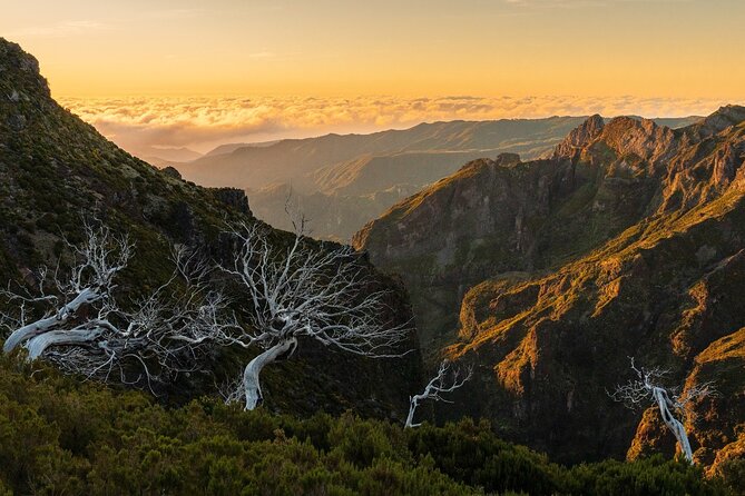 Full Day Madeira Island Tour - Open Roof - Ponta/Poca das Lesmas: volcanic rock pools with turquoise water