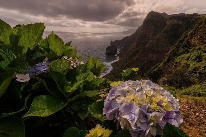 Full Day Madeira Island Tour - Open Roof - Porto Moniz: lunch plus volcanic natural pools (swim if you want)