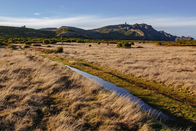 Full Day of Wonders: Madeira 4x4 Private Tour - Meet Joel: How the Day Gets Tailored