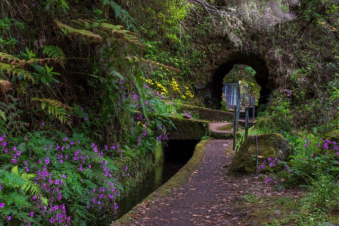 Full Day of Wonders: Madeira 4x4 Private Tour - Pricing and Value: What $332.58 Per Group Really Buys