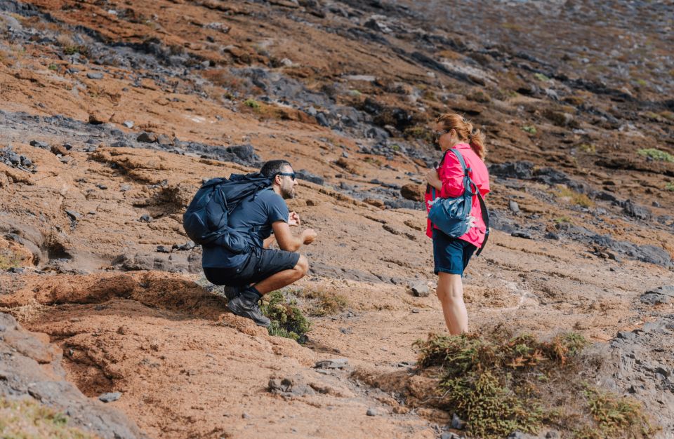 Full Day Ponta de São Lourenço - Natural Reserve - Deserted Islands and Porto Santo views: the peninsula’s big payoff