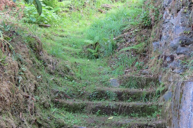 Full Day Private 4x4 Adventure in Madeira - Paul da Serra Plateau: Big Views, Real Walking Options