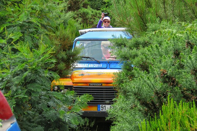 Full Day Private 4x4 Tour in West Madeira with Local Guide - Private 4x4 West Madeira: why this format works