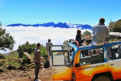 Full Day Private 4x4 Tour in West Madeira with Local Guide - Ilhéus da Ribeira da Janela and Porto Moniz: sea views plus an actual swim