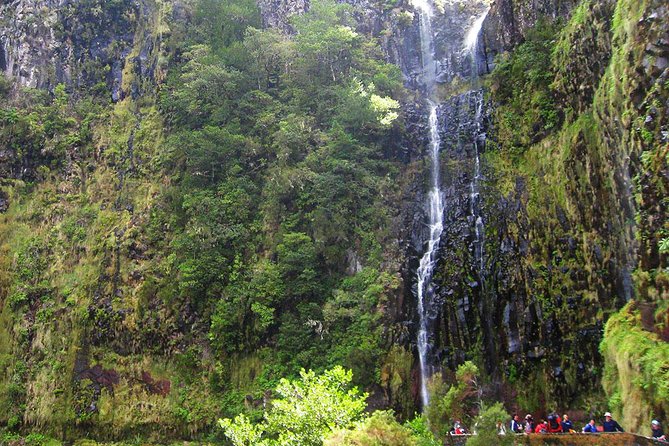 Full-Day Rabaçal Levada Walk from Funchal - Getting There: Early Start, Pickup Options, and a Smooth Launch