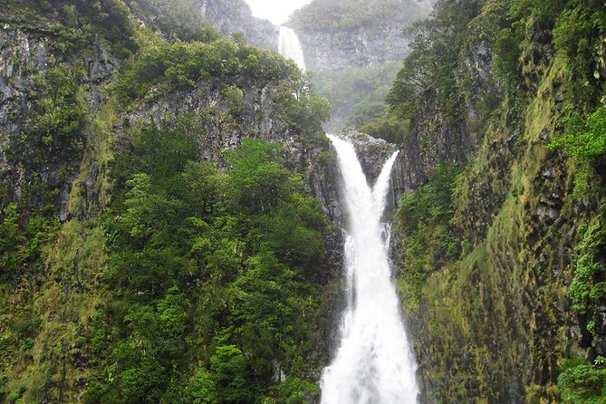 Full-Day Rabaçal Levada Walk from Funchal - Stop One: Paul da Serra Descent to Cascada da Risco