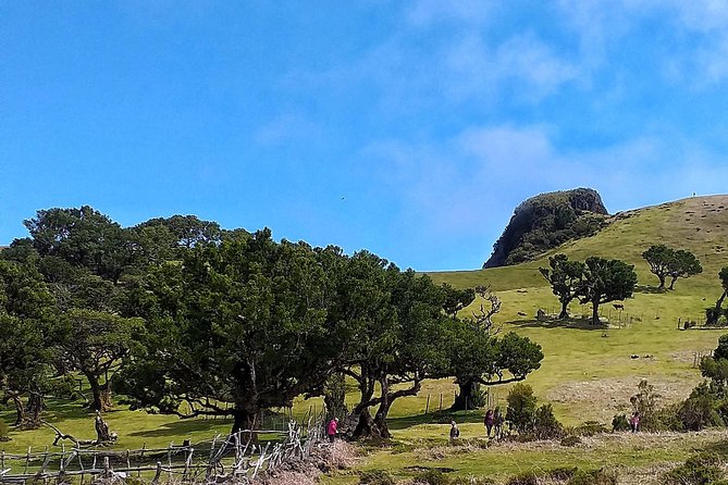 Full-Day Small Group Jeep Safari Tour from Funchal - Who This Tour Fits Best (and Who Should Think Twice)