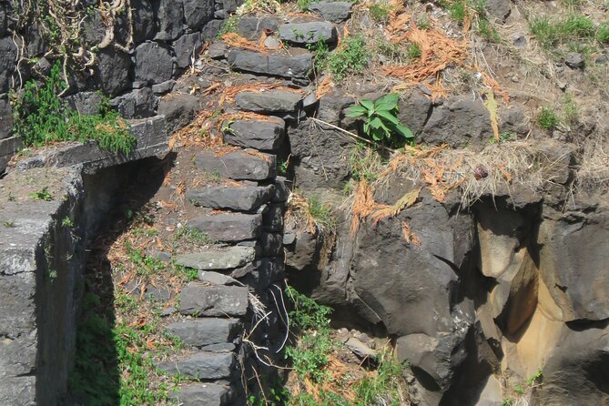 Full Day Tour in 4x4 Jeep to Porto Moniz and Fanal - Serra de Água and Tabua: The Calmer Side of the Journey