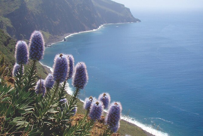 Full Day Tour of the West Zone of Madeira - Porto Moniz Natural Swimming Pools: Your Best Chance to Swim
