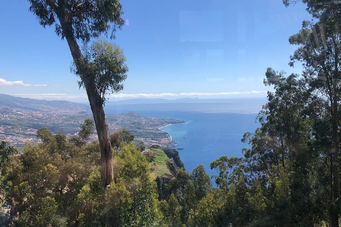 Full day West Adventure Jeep Tour in Madeira Portugal - Posto Florestal Fanal: centenary trees and a slow end to the day