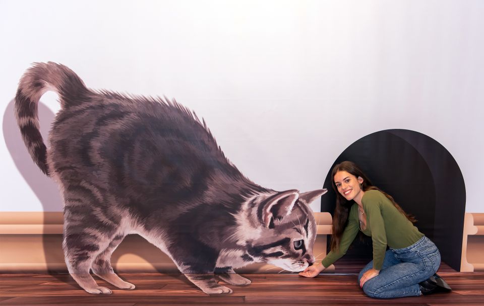Funchal: 3D Fun Art Museum - How to Combine It with a Funchal Day Plan