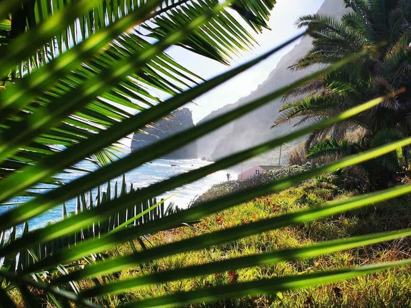 Funchal: 4x4 Jeep Trip to the East and Northeast of Madeira - Ponta de São Lourenço: dramatic coast and a slow return to Funchal